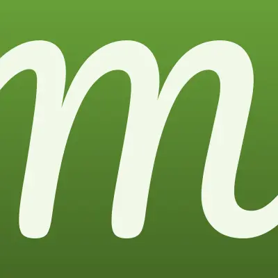 Микрон